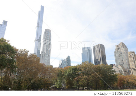 【ニューヨーク】秋のセントラルパークから望む高層ビル 113569272