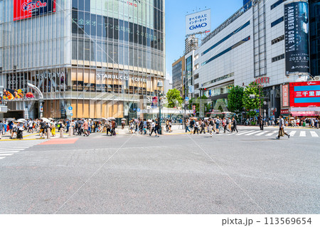【東京都】たくさんの人が行き交う渋谷のスクランブル交差点 【東京都】たくさんの人が行き交う渋谷のスクランブル交差点 113569654