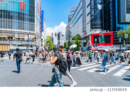 【東京都】たくさんの人が行き交う渋谷のスクランブル交差点 【東京都】たくさんの人が行き交う渋谷のスクランブル交差点 113569659
