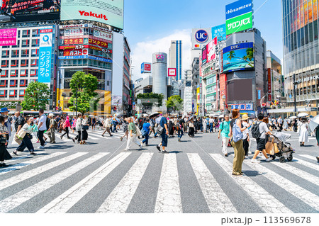 【東京都】たくさんの人が行き交う渋谷のスクランブル交差点 【東京都】たくさんの人が行き交う渋谷のスクランブル交差点 113569678