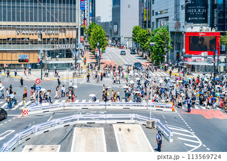 【東京都】たくさんの人が行き交う渋谷のスクランブル交差点 【東京都】たくさんの人が行き交う渋谷のスクランブル交差点 113569724