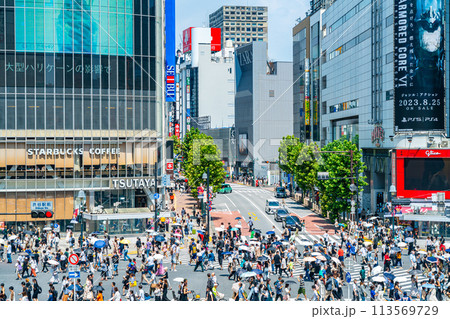 【東京都】たくさんの人が行き交う渋谷のスクランブル交差点 【東京都】たくさんの人が行き交う渋谷のスクランブル交差点 113569729
