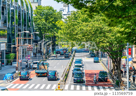 【東京都】豊かな自然に囲まれたミヤシタパーク横の明治通り 113569759