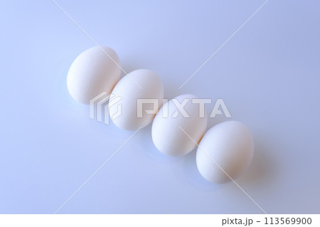 たまごの単体写真 113569900