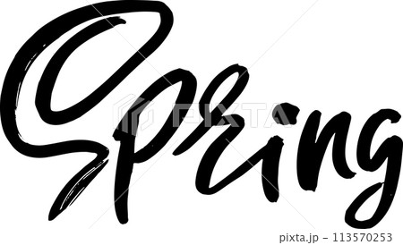 Spring Grunge Dry Brush Lettering Spring Grunge Dry Brush Lettering 113570253