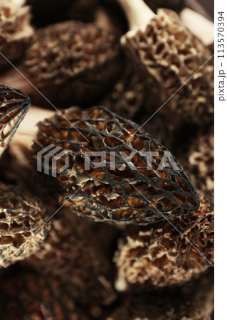 A close-up of the Morel mushroom is the first spring mushroom. The first spring mushrooms. A natural and healthy mushroom. 113570394