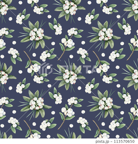 White berries branches with green leaves watercolor seamless pattern on navy blue background. Hand drawn Christmas snowberry plant for floral winter designs and holidays greeting cards White berries branches with green leaves watercolor seamless pattern on navy blue background. Hand drawn Christmas snowberry plant for floral winter designs and holidays greeting cards 113570650