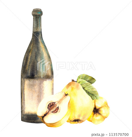 Quince fruit with bottle of wine, ripe yellow whole and cut fruit. Fruit liquor, wine, schnapps, juice, alcohol drink label, sticker print Watercolor hand drawn illustration Isolated white background. 113570700
