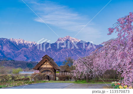 【山梨県】北杜市武川町、水車の里公園の枝垂桜と残雪の南アルプス  113570873