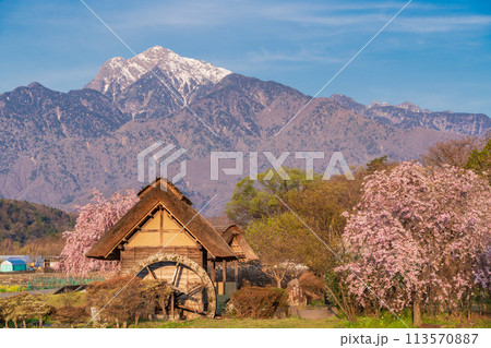 【山梨県】北杜市武川町、水車の里公園の枝垂桜と残雪の南アルプス  113570887