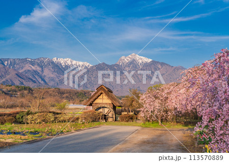 【山梨県】北杜市武川町、水車の里公園の枝垂桜と残雪の南アルプス  113570889