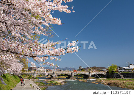 桜咲く京都鴨川風景 113571197