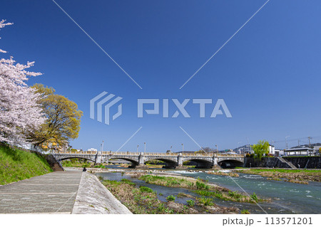 桜咲く京都鴨川風景 桜咲く京都鴨川風景 113571201