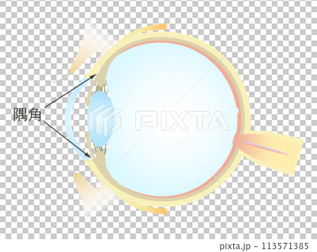 眼の垂直断面図 隅角 113571385