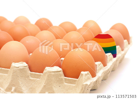 Rainbow egg and eggs in carton cage. Colorful eggs painted in rainbow colors of LGBTQ+ flag Rainbow egg and eggs in carton cage. Colorful eggs painted in rainbow colors of LGBTQ+ flag 113571503