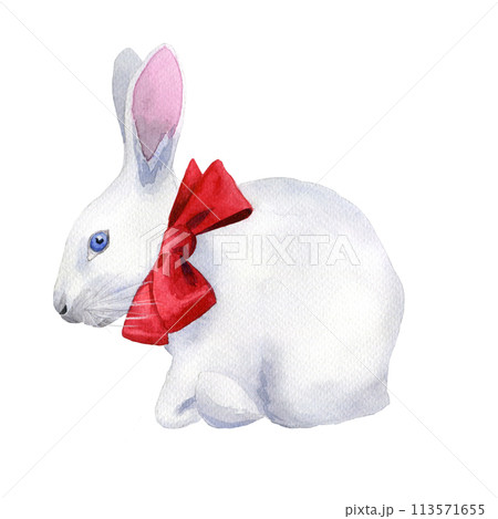 Circus rabbit with a red bow, hand drawn watercolor illustration isolated on the white background Circus rabbit with a red bow, hand drawn watercolor illustration isolated on the white background 113571655