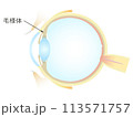 眼の垂直断面図 毛様体 113571757