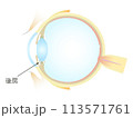 眼の垂直断面図 後房 113571761