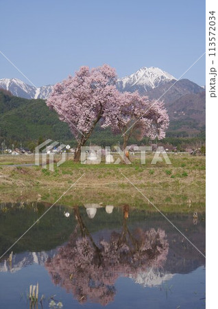 信州　安曇野　観光名所　常念道祖神　北アルプス常念岳をバックに　安曇野人気撮影ポイントのひとつ 113572034