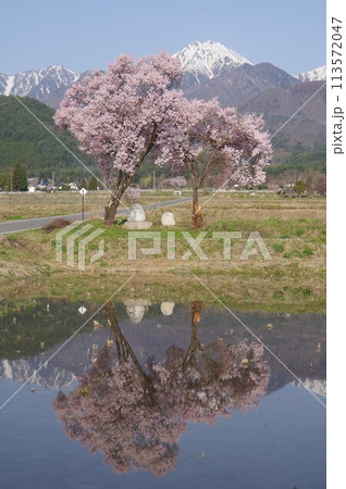 信州　安曇野　観光名所　常念道祖神　北アルプス常念岳をバックに　安曇野人気撮影ポイントのひとつ 113572047