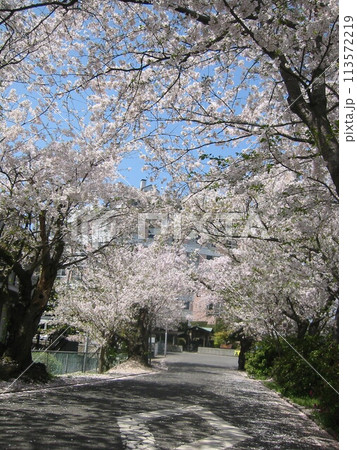 2004年・香川・宇多津・風景・其の二十七 2004年・香川・宇多津・風景・其の二十七 113572219