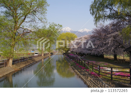 信州 安曇野 北アルプス常念岳と拾ヶ堰(じっかせぎ) 春 桜のある風景 安曇野人気撮影ポイント 信州 安曇野 北アルプス常念岳と拾ヶ堰(じっかせぎ) 春 桜のある風景 安曇野人気撮影ポイント 113572265