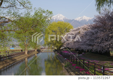 信州 安曇野 北アルプス常念岳と拾ヶ堰(じっかせぎ) 春 桜のある風景 安曇野人気撮影ポイント 信州 安曇野 北アルプス常念岳と拾ヶ堰(じっかせぎ) 春 桜のある風景 安曇野人気撮影ポイント 113572267