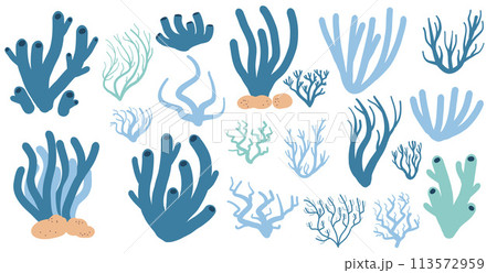 Coral reef set isolated on white background. Sea underwater elements. Vector flat illustration. 113572959
