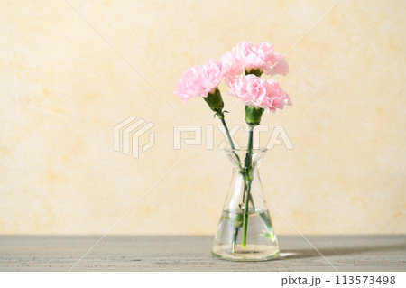 花瓶に生けたカーネーション 花瓶に生けたカーネーション 113573498