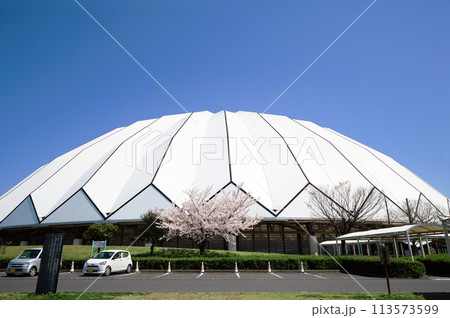〈島根県〉春の出雲ドーム 113573599