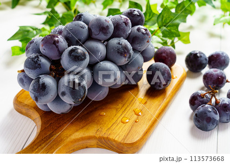 葡萄 葡萄 113573668