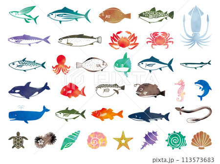 海の生物水彩アイコン 海の生物水彩アイコン 113573683