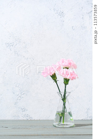 花瓶に生けたカーネーション 花瓶に生けたカーネーション 113573859