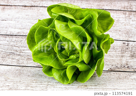 Butter lettuce salad green leaves Butter lettuce salad green leaves 113574191