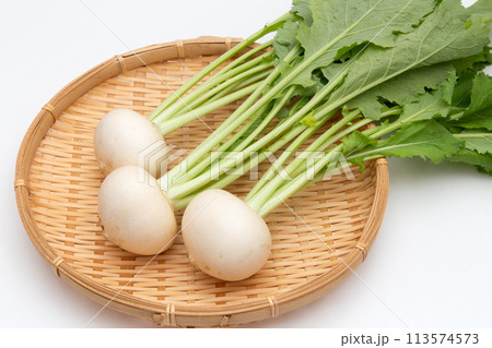 小カブ（白カブ） 113574573