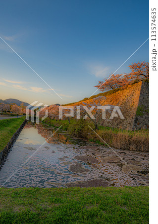 篠山城 113574635