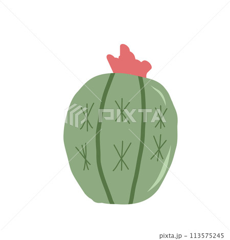 Prickly pear cactus isolation on white background. Mexican cacti. Exotic plant Vector illustration Prickly pear cactus isolation on white background. Mexican cacti. Exotic plant Vector illustration 113575245