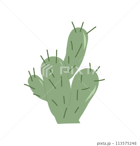 Cactus flat isolation on white background. Mexican cacti and aloe. Exotic plant Vector doodle illustration 113575248