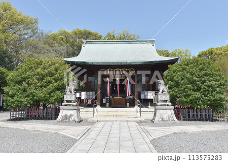 城山八幡宮拝殿 城山八幡宮拝殿 113575283