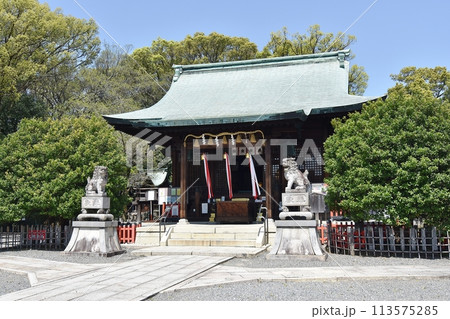 城山八幡宮拝殿 城山八幡宮拝殿 113575285