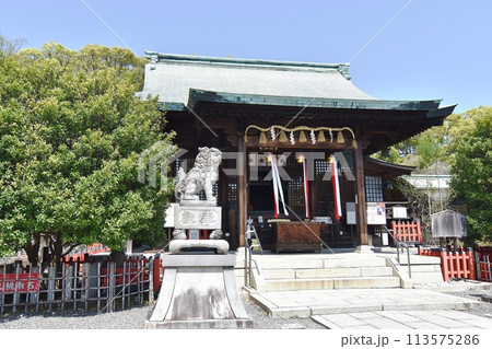 城山八幡宮拝殿 113575286