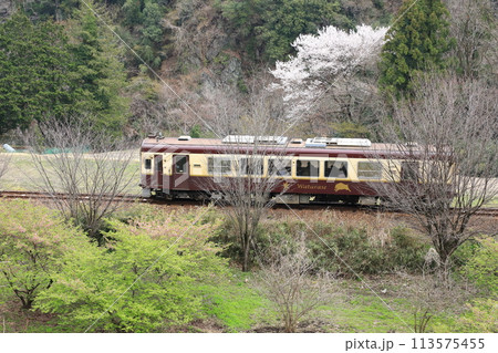 わたらせ渓谷鐵道「山間部の春の訪れ風景を走る列車」 わたらせ渓谷鐵道「山間部の春の訪れ風景を走る列車」 113575455