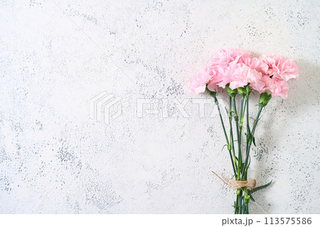 カーネーションの花束 カーネーションの花束 113575586