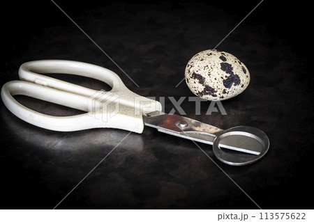 Quail egg and dissection scissors 113575622