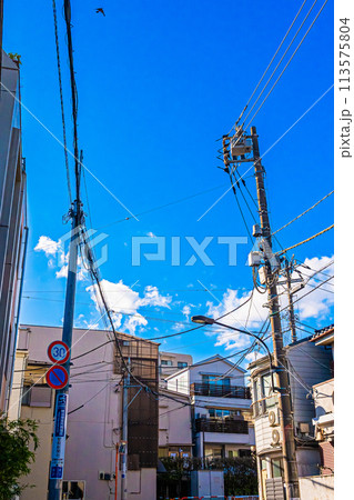 東京 新宿の風景 東京 新宿の風景 113575804