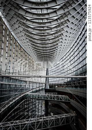 東京国際フォーラムの風景 113575924