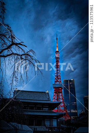 増上寺と東京タワー 増上寺と東京タワー 113575961