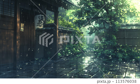 雨が降る風景のイラスト 113576038