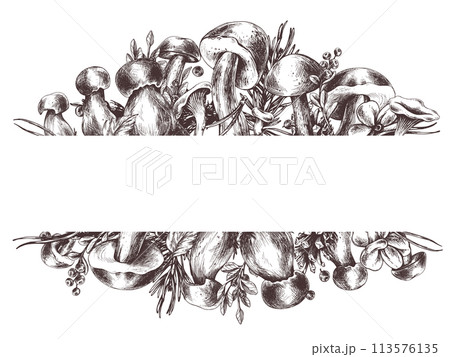 Forest mushrooms, boletus, chanterelles and blueberries, lingonberries, twigs, cones, leaves. Graphic illustration hand drawn in black ink. Frame, border, template EPS vector. 113576135