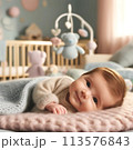 赤ちゃん 113576843